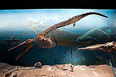 动视正全力以赴将DEI融入未来项目中 实现更多“觉醒”